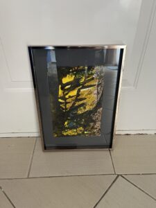 Painting Forrest Moon